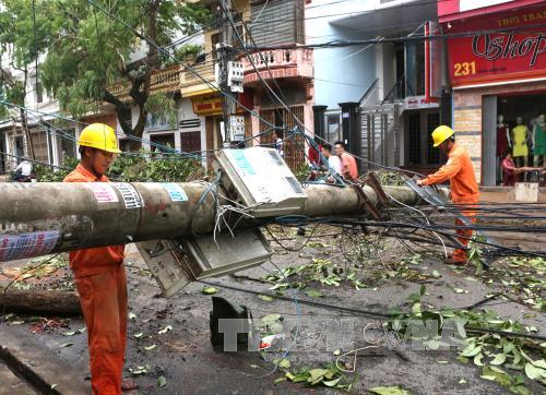 Nam Định là một trong các địa phương thiệt hại do bão số 1. Ảnh: Ngọc Hà/TTXVN 