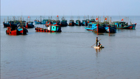 Đoàn thuyền đánh cá ở huyện Giao Thủy