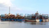 Nam Định khai thác hải sản bền vững