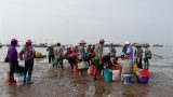Nam Định: Vụ cá Nam thắng lợi