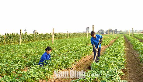 Ghi nhận ở Trung tâm học tập cộng đồng xã Yên Cường Ý Yên