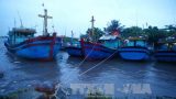 Giao Thủy: Kịp thời Cứu 3 ngư dân trên tàu gặp nạn khi bão về