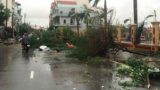 Nam Định thiệt hại hàng nghìn tỷ đồng từ cơn bão số 1