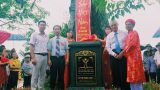 Xuân Trường (Nam Định): Cây Gạo 250 năm tuổi được vinh danh Cây Di sản Việt Nam
