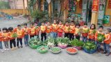 Nam Định: Trường Mầm non Hải Lý – Con lớn lên từ nhữɴɢ vườn rau sạch