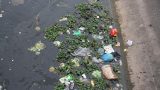 Chùm ảnh rác thải gây mất vệ sinh tại huyện Ý Yên, Nam Định