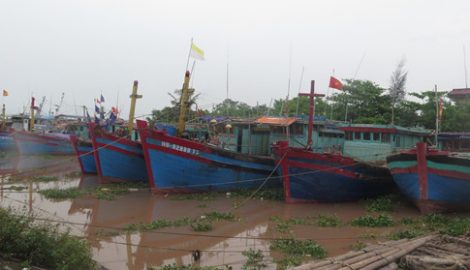 Nam Định, Thái Bình phòng chống bão từ xa