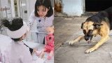 Bé gái 6 tuổi ở Nam Định bị chó nhà cắn rách mặt