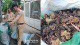 Xe tải chở 1 tấn tóp mỡ bốc mùi hôi thối từ Nghệ An ra Nam Định