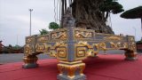 Xôn xao cây cảnh giá 10 tỷ, dát 5 lượng vàng quanh chậu của đại quê Nam Định