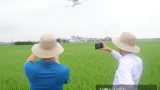 Nam Định: Đã mắt xem dàn máy bay không người lái của quân đội phun thuốc trừ sâu hại lúa