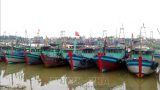 Nam Định cấm biển, kêu gọi tàu thuyền vào bờ