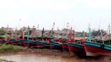 Nam Định chủ động triển khai các biện pháp ứng phó với cơn bão số 7