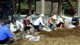 Nam Định: 10 năm đào tạo nghề cho trên 23 ngàn lao động nông thôn