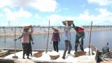 Nam Định : Diêm dân đã quá chán nản với nghề muối