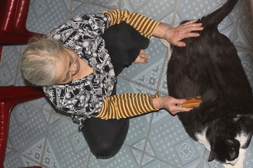 Bà Nga người sở hữu chú mèo khủng nặng tới 20kg. Ảnh Một Thế Giới  