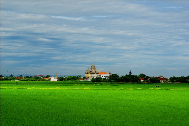 Cánh đồng lúa xanh ngát mênh mông cho ra đời những hạt gạo ngon xếp vào hàng đặc sản. Là một trong những tỉnh có nhiều nhà thờ đẹp nhất cả nước, các công trình tôn giáo ở Nam Định càng làm tăng thêm vẻ an yên cho cảnh vật nơi đây. 