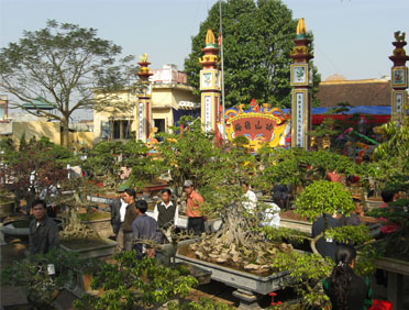 Nam Định: Lễ hội truyền thống hoa- cây cảnh Vị Khê