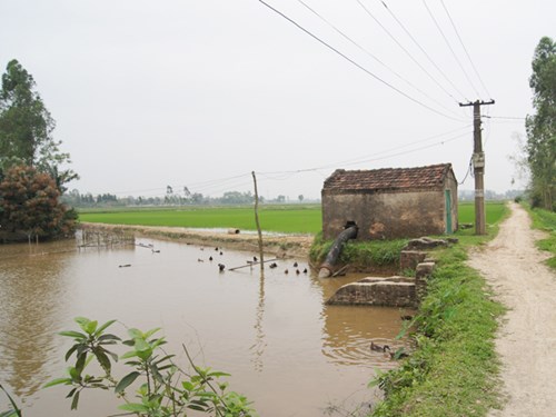                      Sông Thiên Phái nay chỉ còn là con mương cấp nước cho cánh đồng của hai làng 