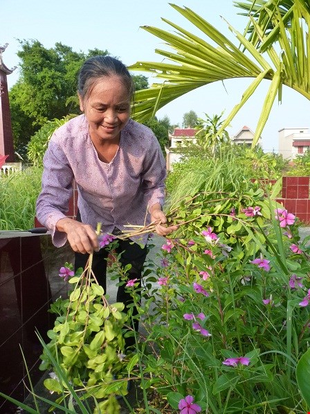 Bà Nguyễn Thị Hột ngắt hoa viếng mộ. 