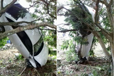 Nam Định: Audi A6 gặp tai nạn hy hữu “treo ngược cành cây”