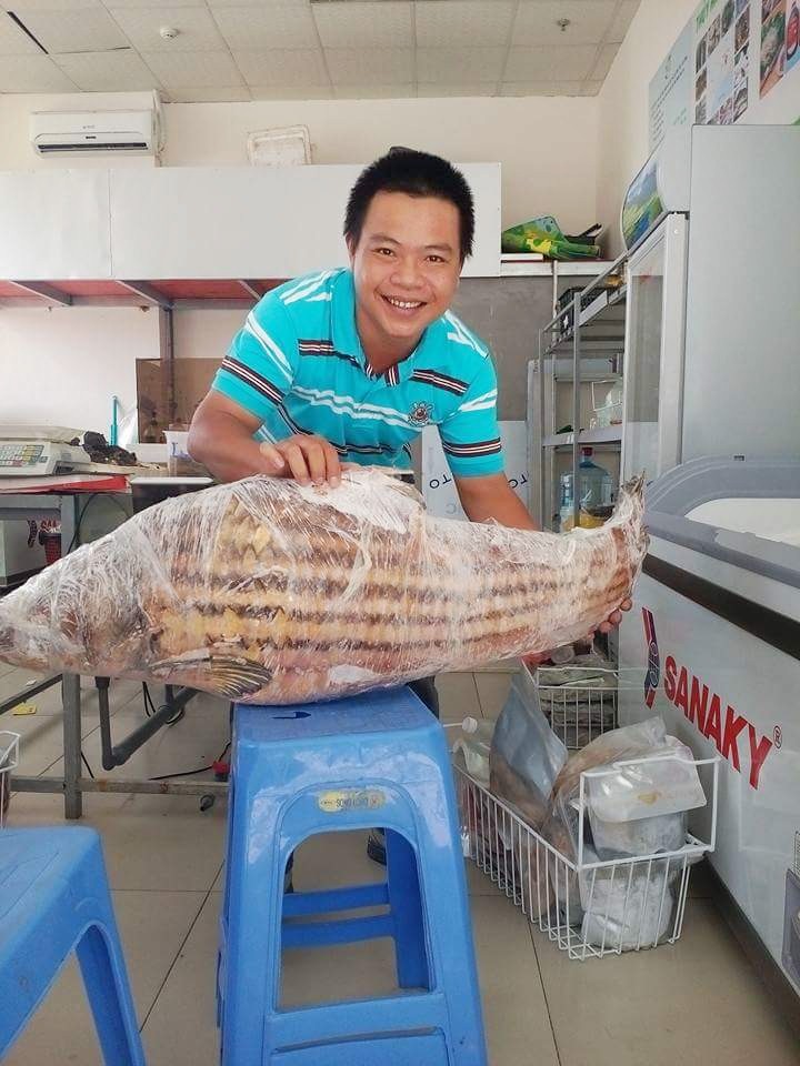 Nam Định: Bỏ nghề lương cao… lên nóc nhà bán cá gác bếp