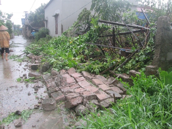 Nam Định tan hoang sau cơn bão số 1