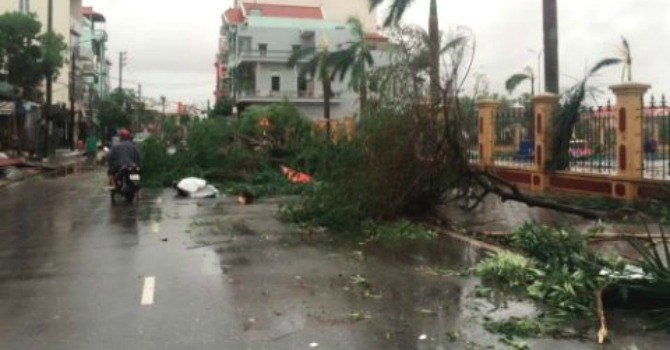 Nam Định chịu thiệt hại nặng nề từ cơn bão số 1. 