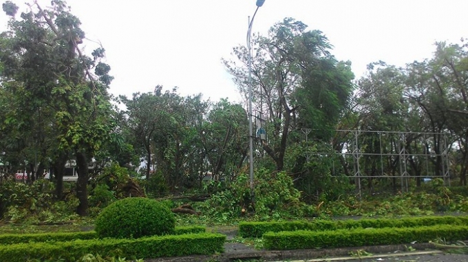 Vườn cây bóng mát khu vực hồ Vị Xuyên tan hoang sau bão số 1. Ảnh: Duy Tám. 