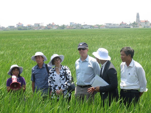 Đại sứ Mỹ đội nắng, lội ruộng cùng nông dân Nam Định