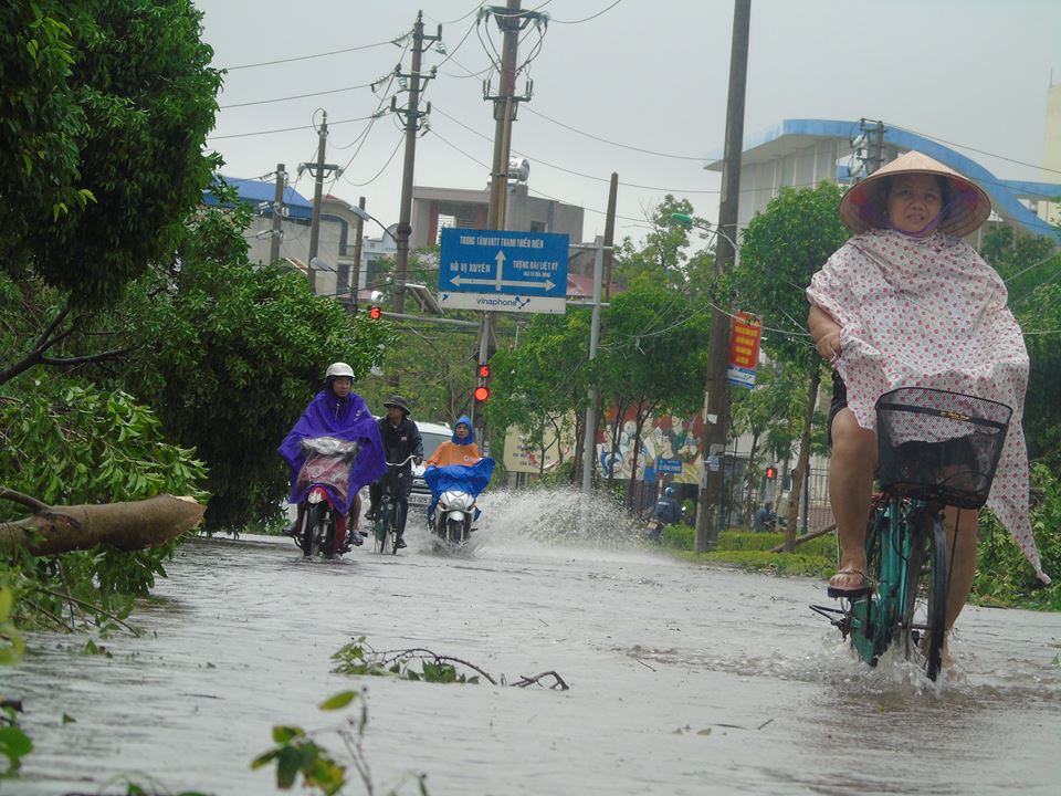 Trung tâm thành phố Nam Định - Photo: cậu bé người gỗ