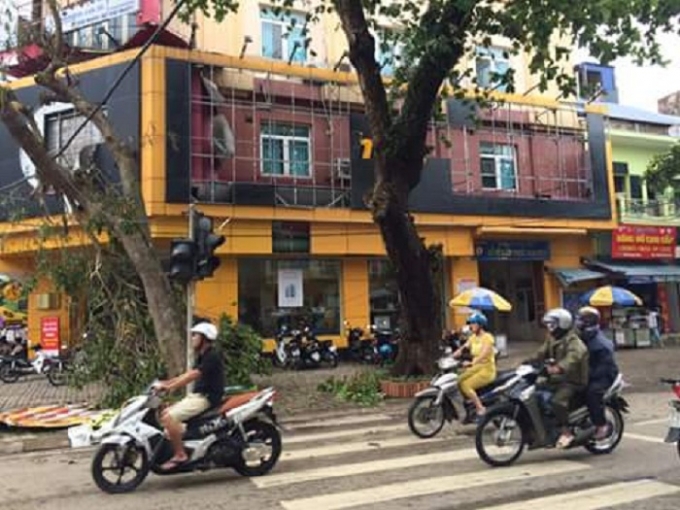 Thành Phố Nam Định tan hoang sau sự hung bạo của cơn bão số 1