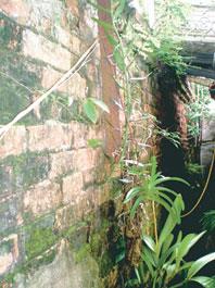 Một đoạn chân tường thành còn lại của thành cổ Nam Định. 