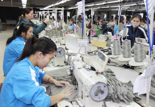 Vinatex Nam Định sẽ sản xuất 50.000 cọc sợi vào năm 2017