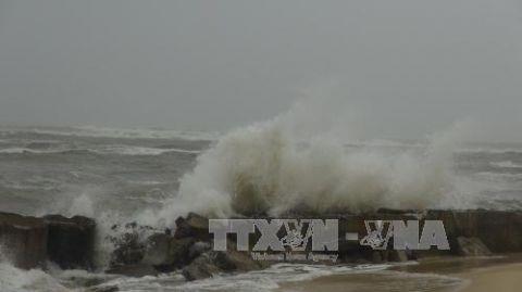 Tin bão số 3 mới nhất: Tâm bão trên biển Nam Định, Quảng Ninh