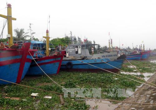 Tàu thuyền của ngư dân tránh trú bão tại khu neo đậu tàu thuyền thị trấn Thịnh Long, huyện Hải Hậu. Ảnh: Văn Đạt/TTXVN 