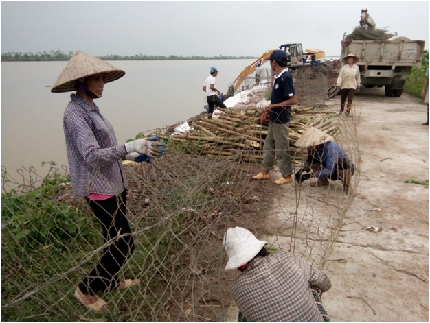 Nam Định cấp bách gia cố đê sông hồng đón bão số 3