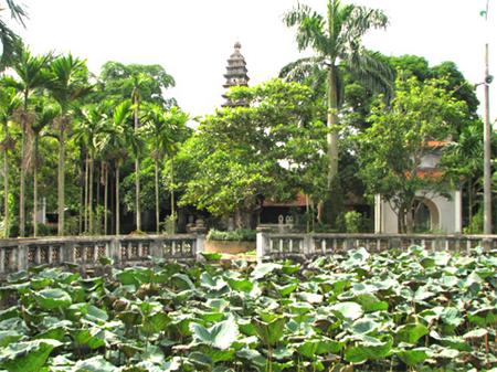 Tháp chùa Phổ Minh ẩn hiện tronh những tán cây xanh