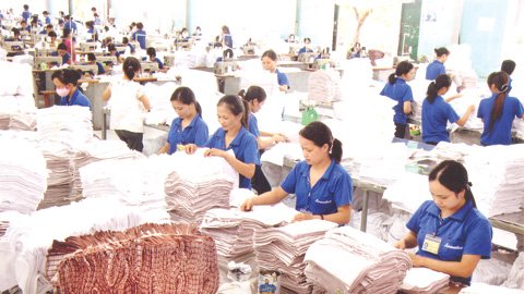Sản xuất khăn bông xuất khẩu tại Cty CP Dệt may Sơn Nam.