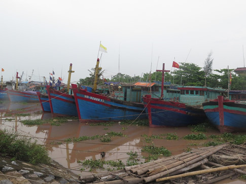 Nhiều chủ tàu tại Nghĩa Hưng đã chủ động neo tàu vào bãi để tránh bão số 7