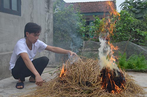   Sau khi phủ lên một lớp rơm, người dân bắt đầu đốt lửa nướng cá