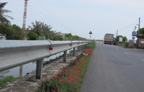 Hoa được trồng ven một con đường tỉnh lộ đi qua xã Hải Hà