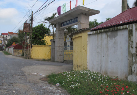 Những khu đất trống trước cổng trường được tô màu bởi sắc hoa mười giờ
