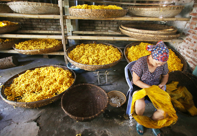 Làng ươm tơ bằng tay nổi tiếng nhất Việt Nam