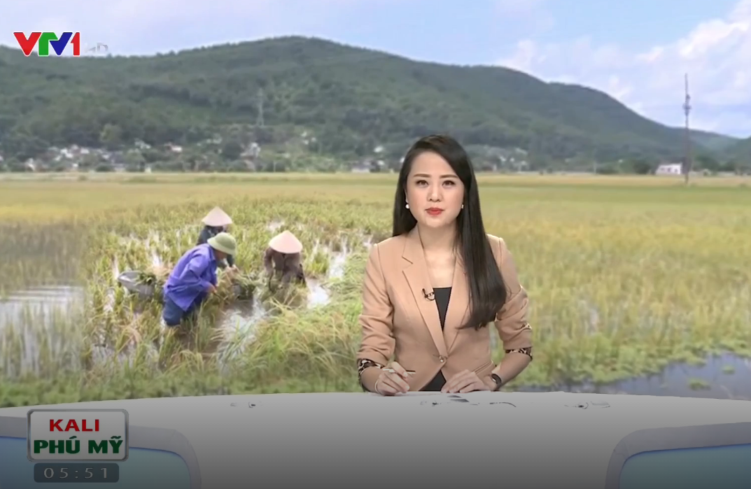 Nông nghiệp Nam Định thiệt hại nặng nề do mưa lũ