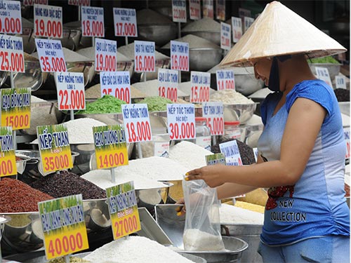Giá lúa gạo miền Bắc tăng chóng mặt
