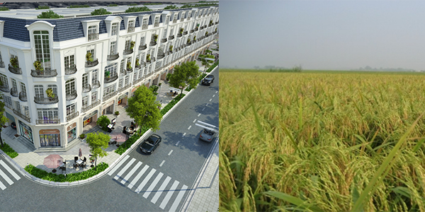 Điều chỉnh quy hoạch sử dụng đất đến năm 2020 tỉnh Nam Định