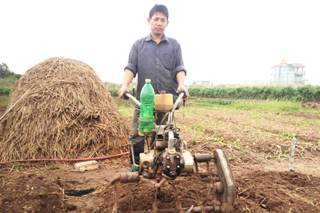 Ngày xuân trò chuyện cùng “Kỹ sư nông dân tại Nam Định”