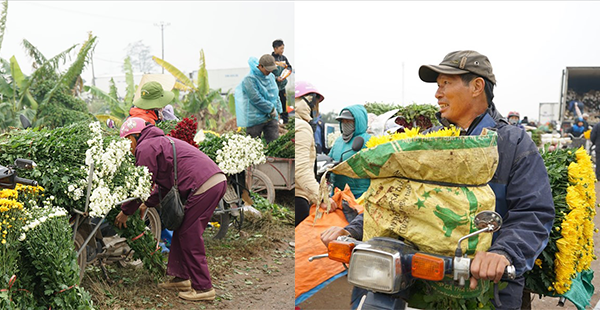 Mỹ Lộc: Cận Tết Nguyên Đán, giá hoa tăng kỷ lục, làng hoa Mỹ Tân vẫn tấp nập kẻ bán người mua