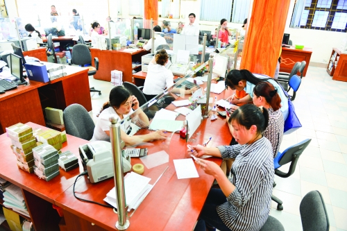 Agribank chi nhánh Nam Định: Cùng tổ vay vốn làm giàu